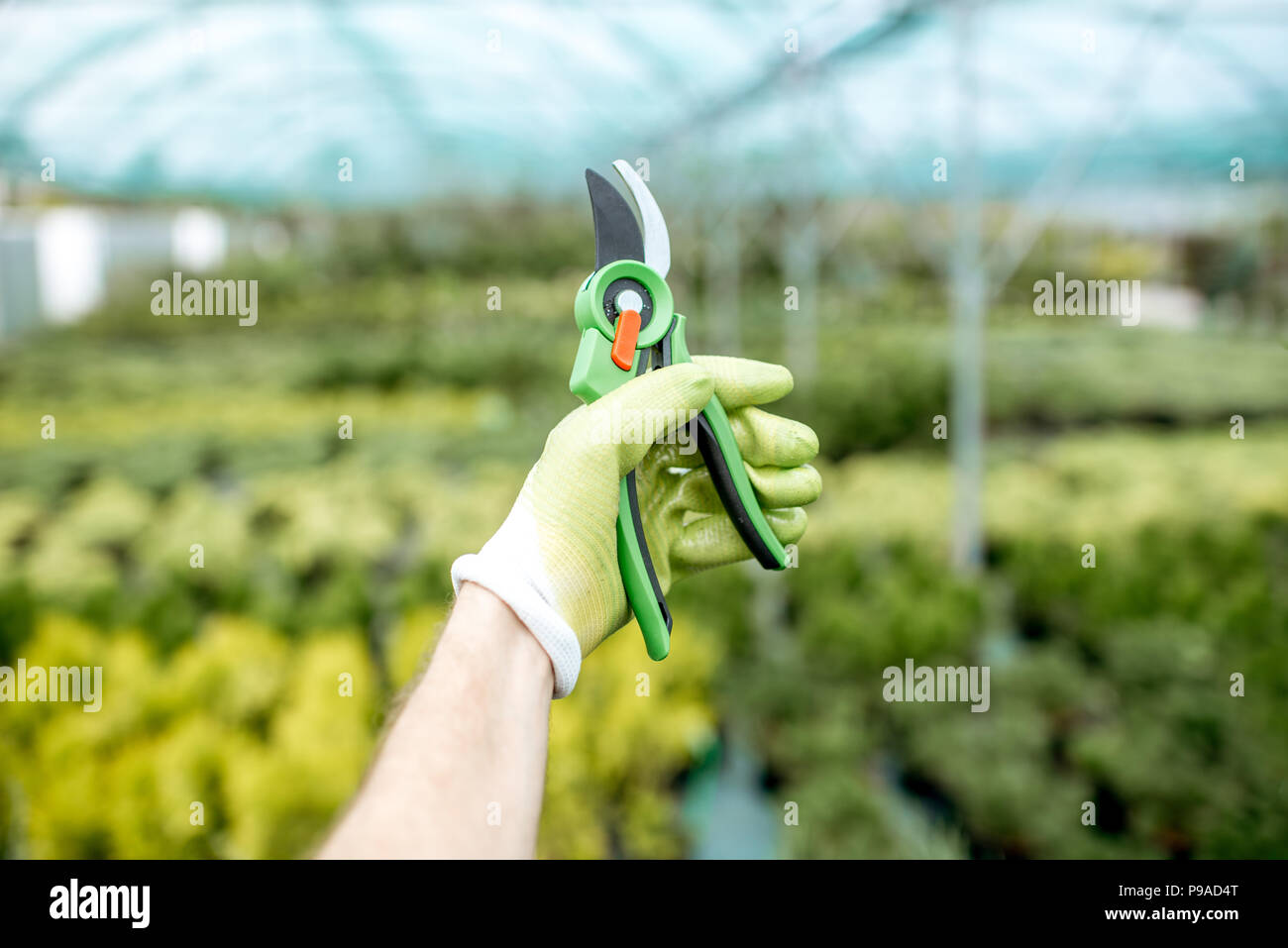 Best Garden Shears & Pruning Tools - Tweezer World