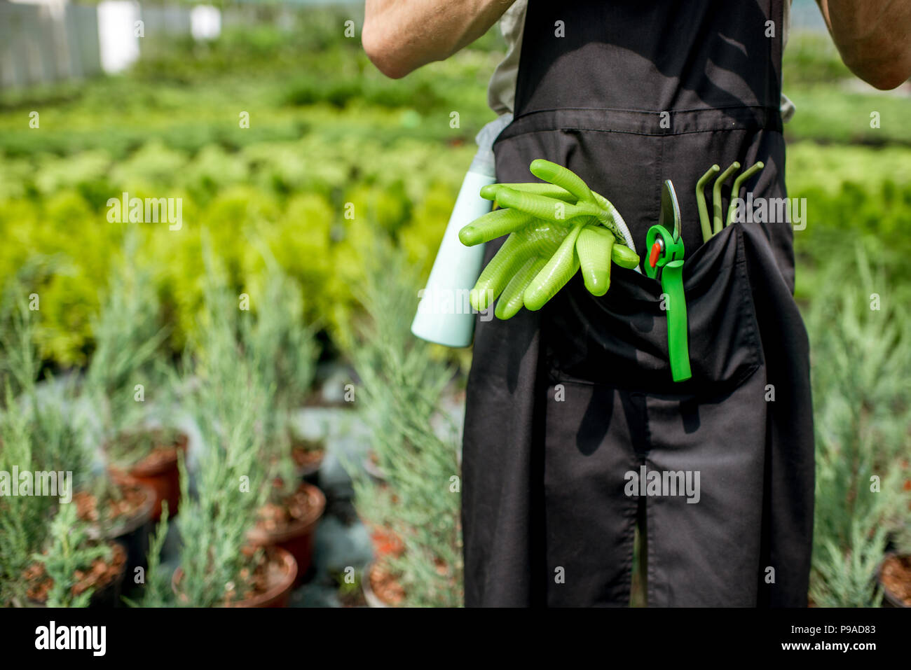 Tools for gardening in the pocket of the gardener Stock Photo