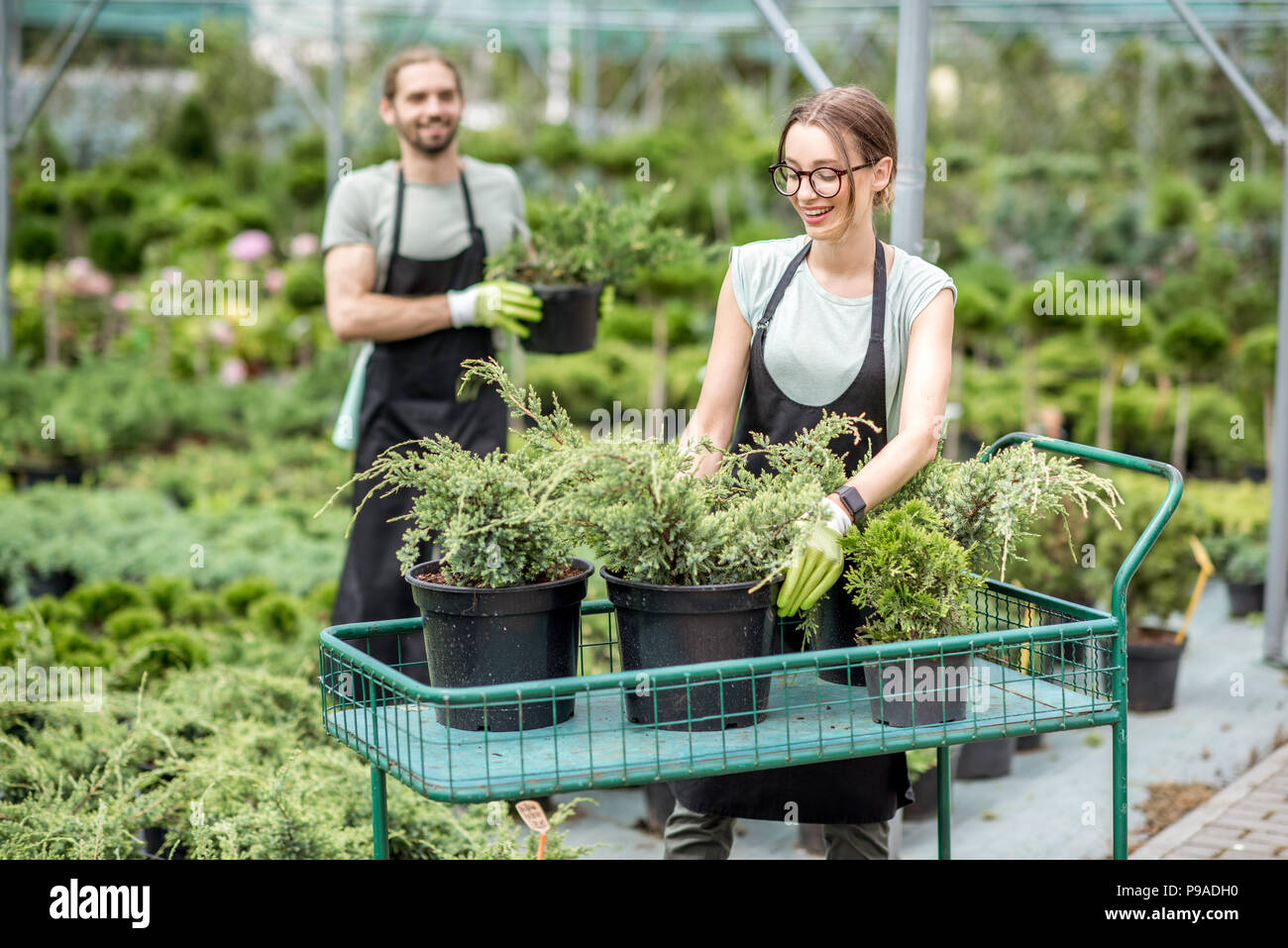 Workers putting plants on the cart Stock Photo Alamy