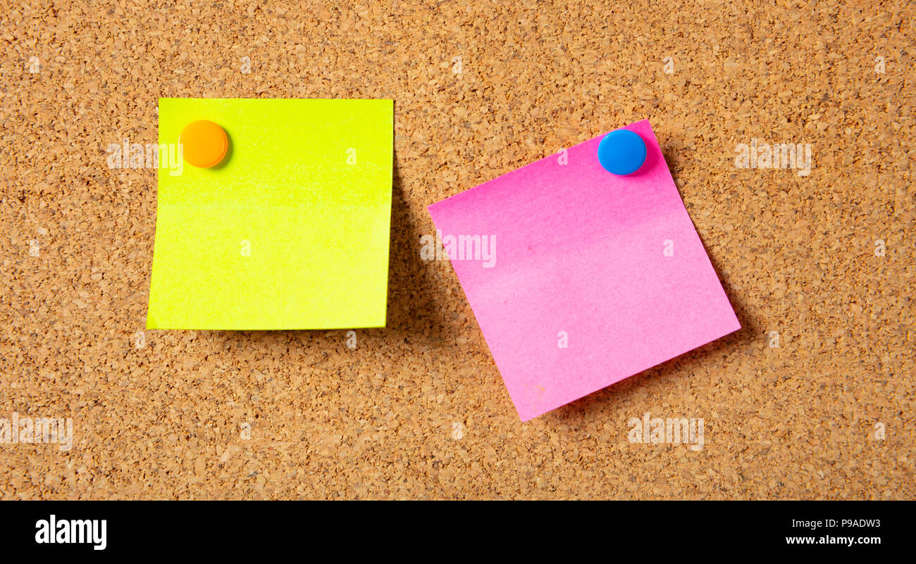 School concept. Two colorful sticky notes with pushpins and blank space, isolated on cork background, Stock Photo