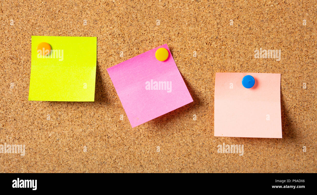 School concept. Three colorful sticky notes with pushpins and blank space, isolated on cork background, Stock Photo
