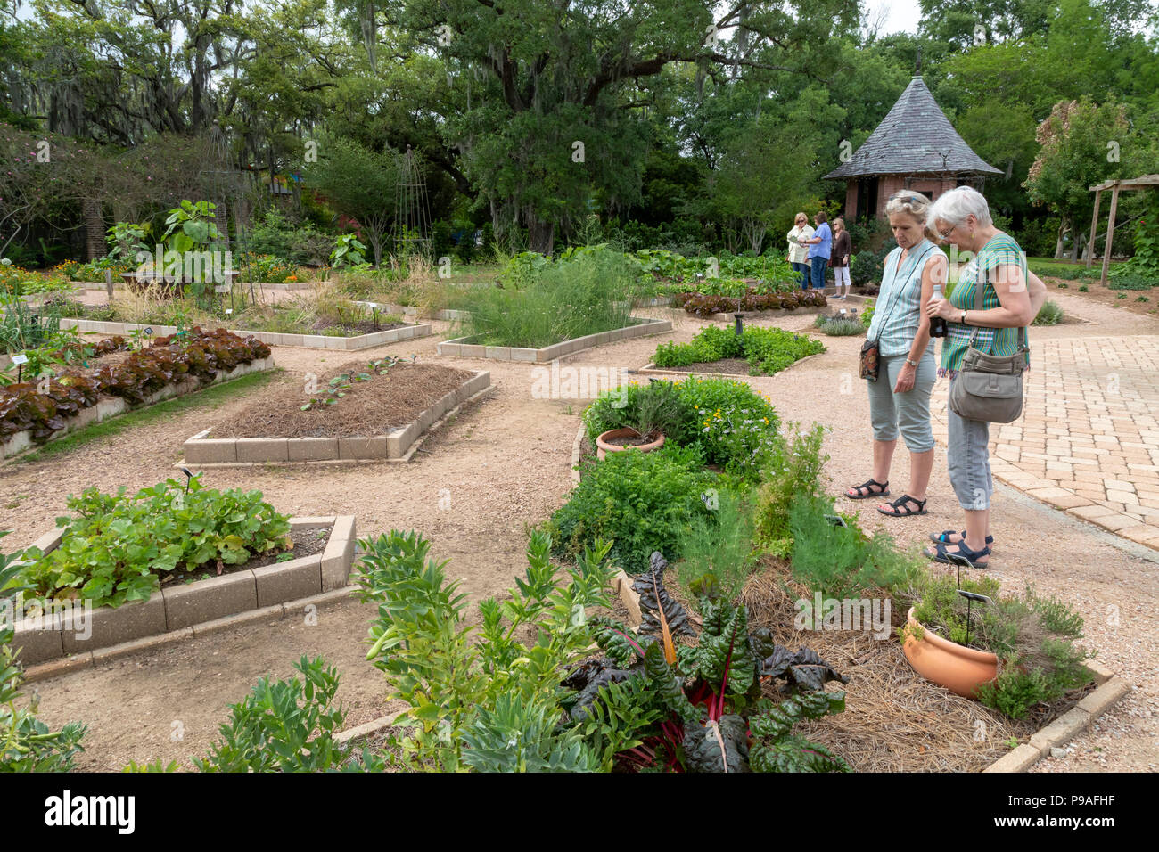 New Orleans Louisiana The Plano Demonstration Garden In The New