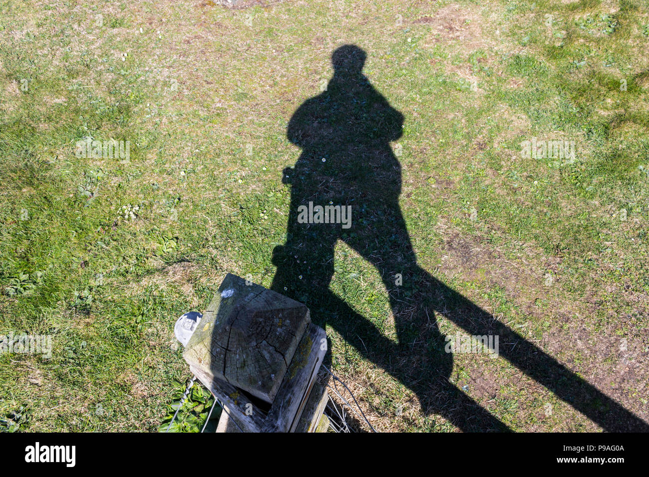 High-angle shot of the shadow of a male photographer over green grass Stock Photo