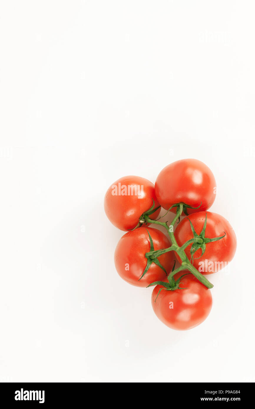 tomatoes on a branch .isolated white background Stock Photo - Alamy