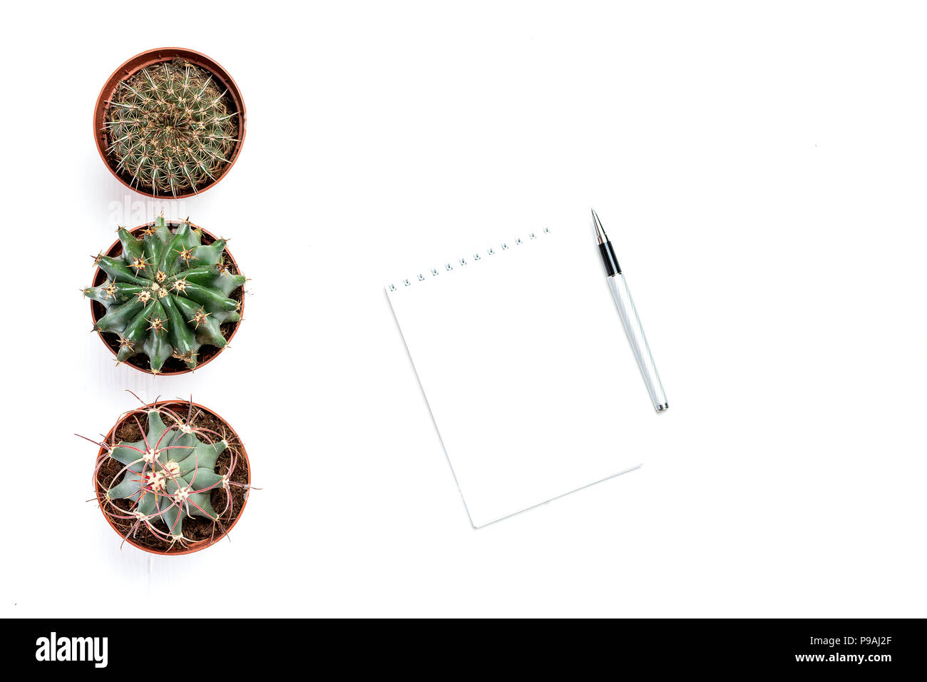 Pen, notepad for writing lie near cacti Stock Photo