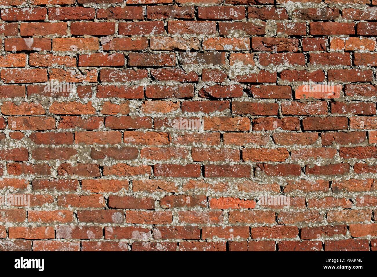 Old Red Brick Wall Texture Background Stock Photo Image