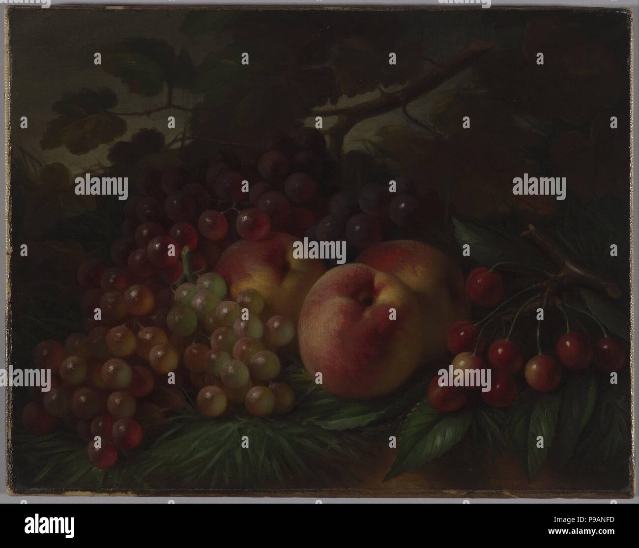 Still life with cherries and peaches hi-res stock photography and ...