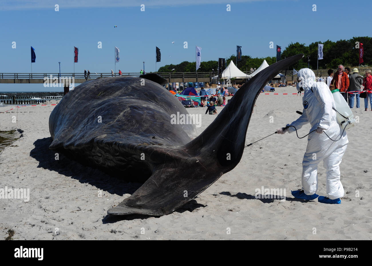 Greenpeace Action High Resolution Stock Photography And Images Alamy