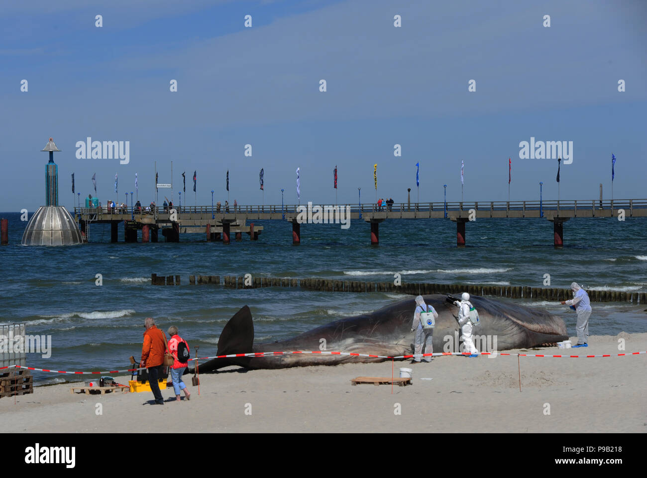 Greenpeace Action High Resolution Stock Photography And Images Alamy