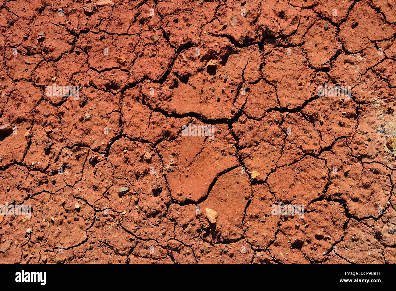 Texture of dry cracked clay soil - abstract natural summer background of clay desert cracked from drought Stock Photo