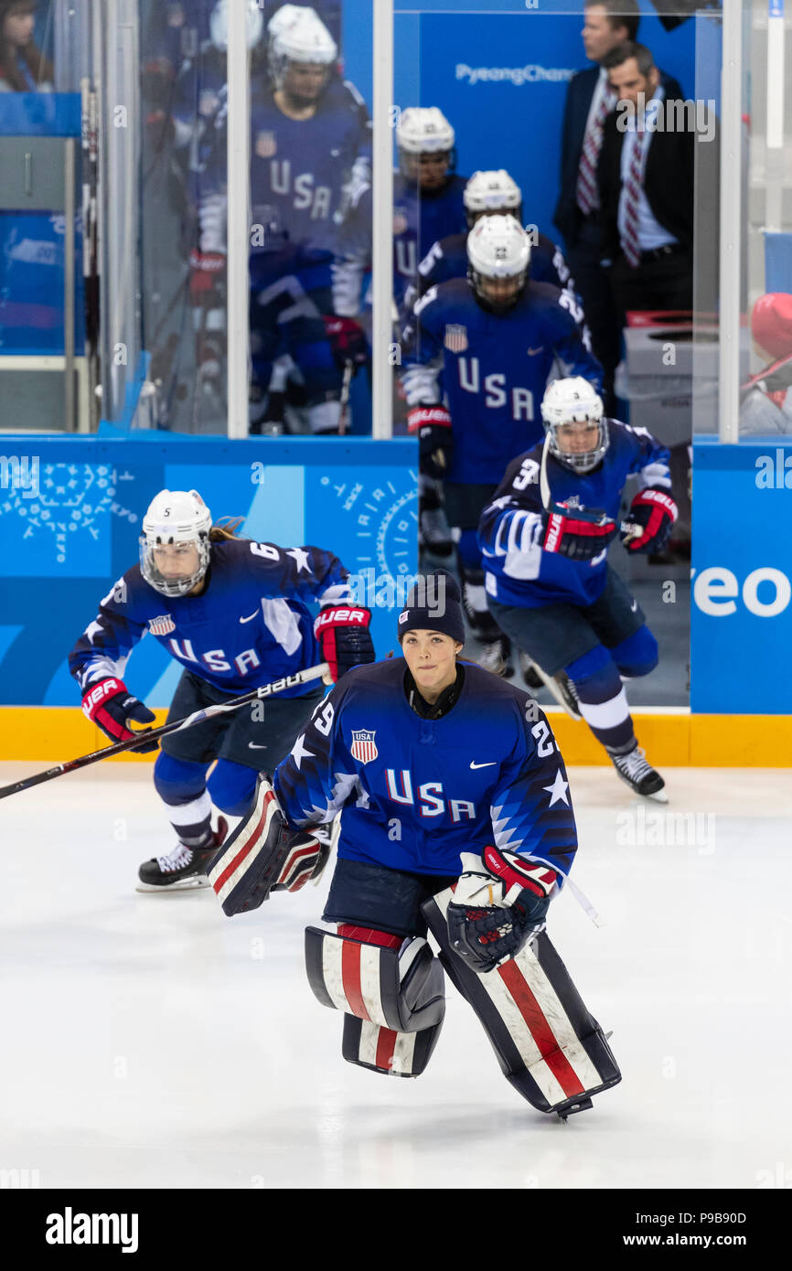 Nicole Hensley USA goalie prior to the Gold medal Women's Ice Hockey