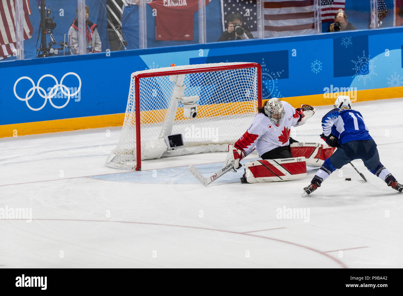 Goalie Shannon Szabados (CAN) during the Gold medal Women's Ice Hockey