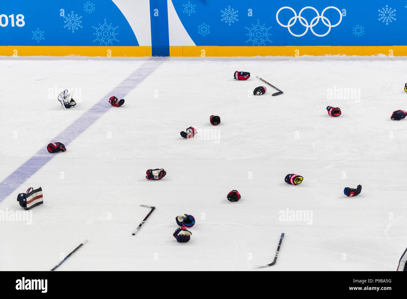Team USA celebrates winning the Gold medal Women's Ice Hockey game vs