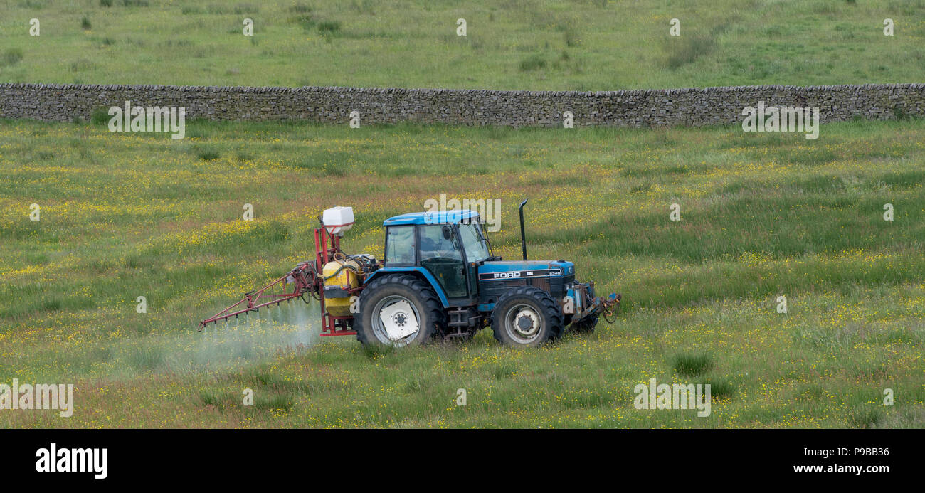 Pasture weeds hi-res stock photography and images - Alamy