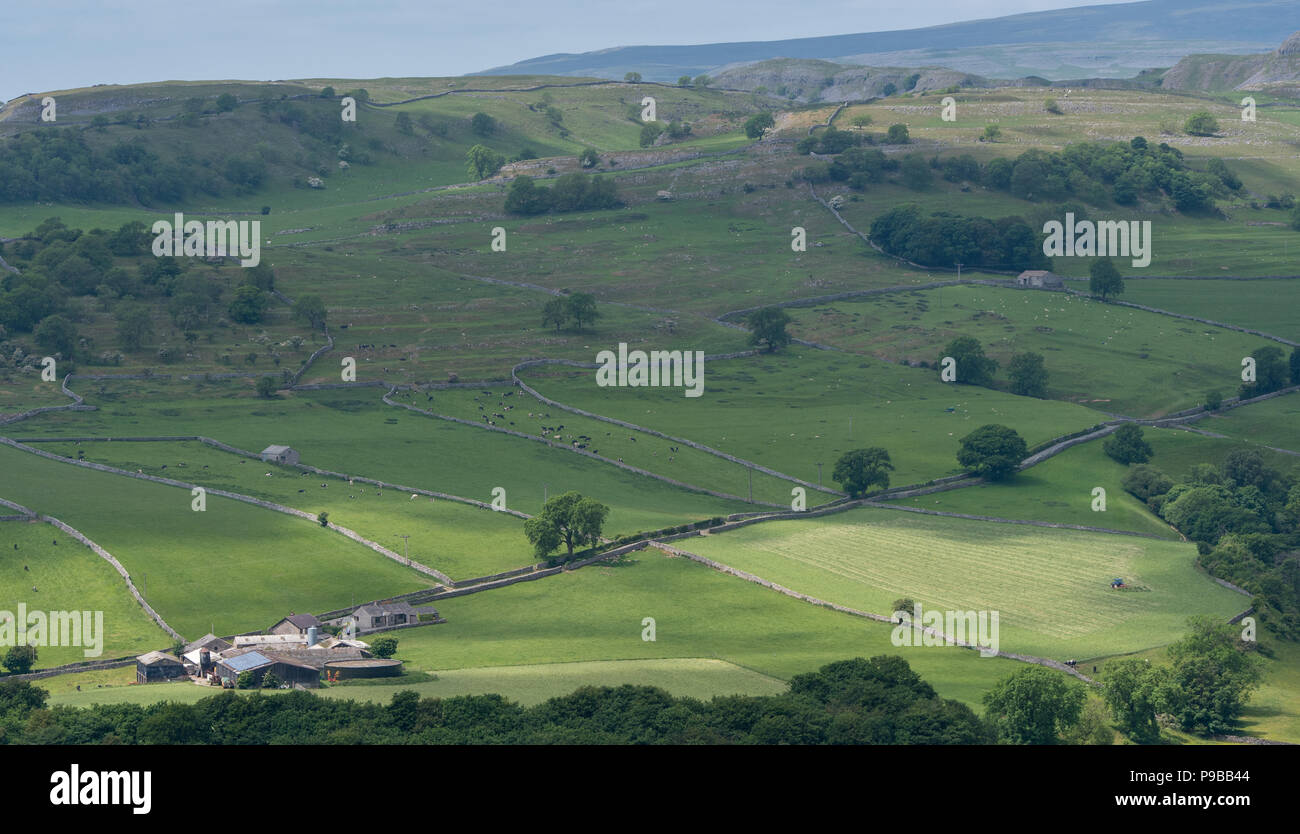 Farmland in Horton in Ribblesdale in early summer. Yorkshire Dales National Park, UK. Stock Photo