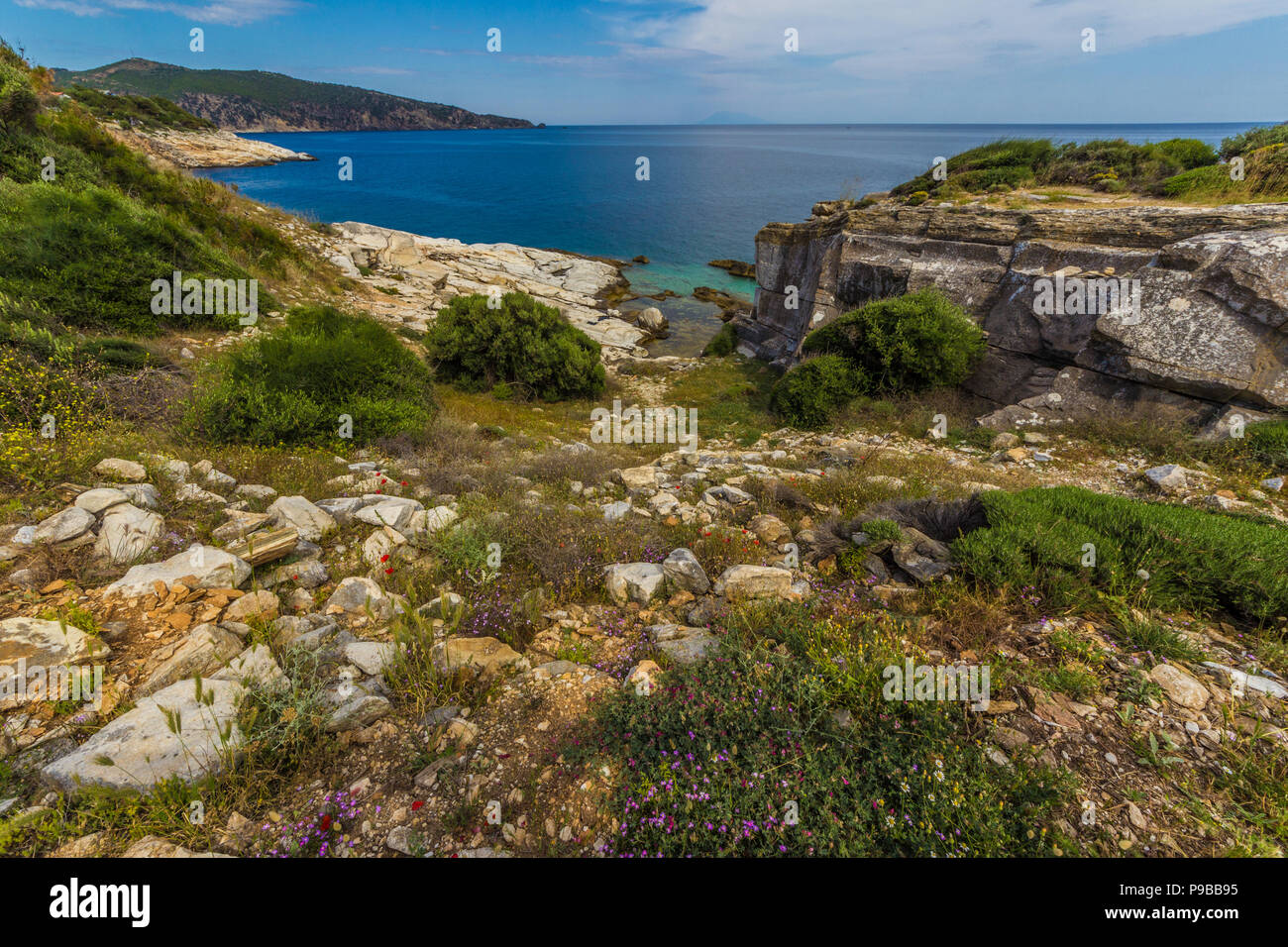 springflowers at the coast of Aliki, Thasos Island, Aegean Sea, Greece Stock Photo