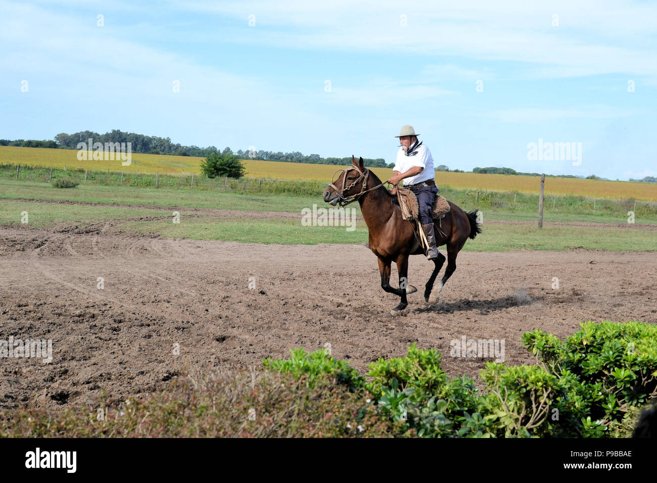 Gaucho riding a horse in an estancia on the outskirts of Buenos Aires, Argentina; traditional pampa life. Stock Photo