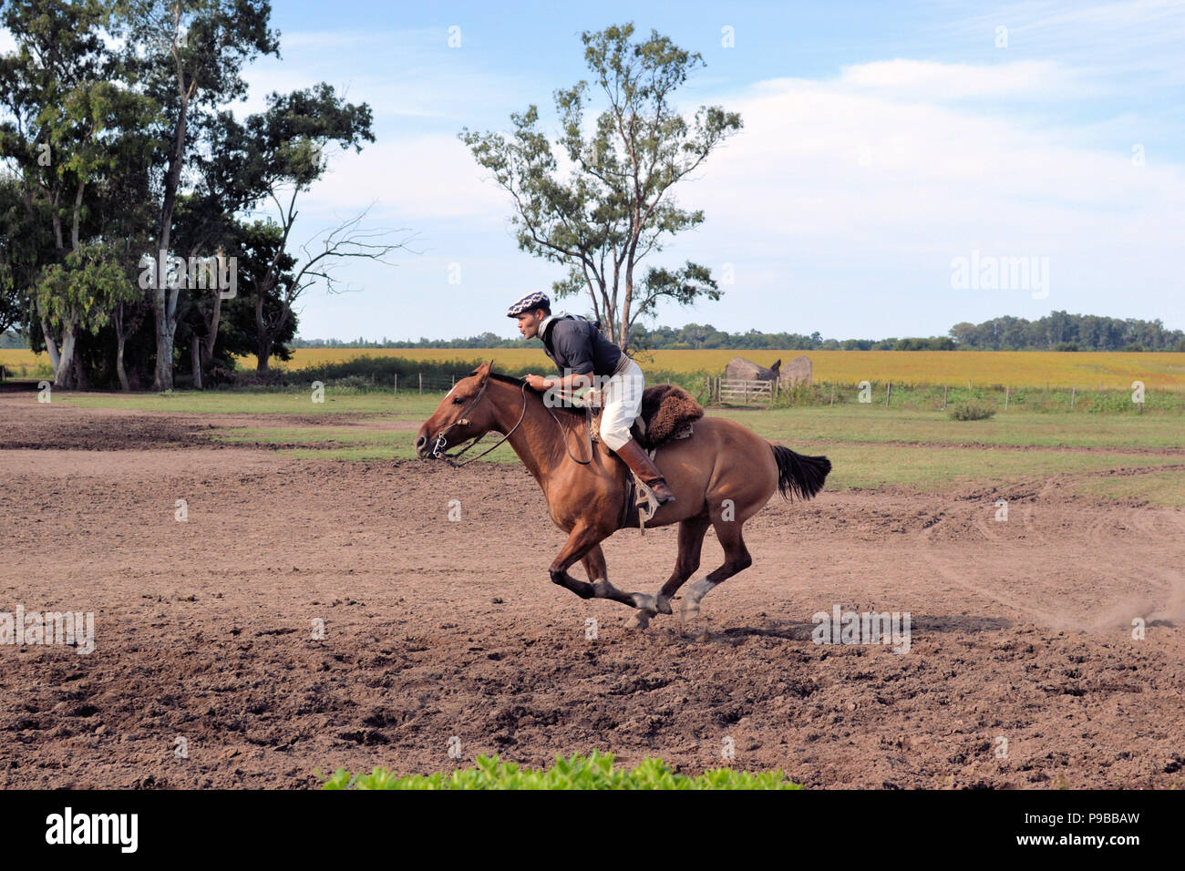 Gaucho riding a horse in an estancia on the outskirts of Buenos Aires, Argentina; traditional pampa life. Stock Photo