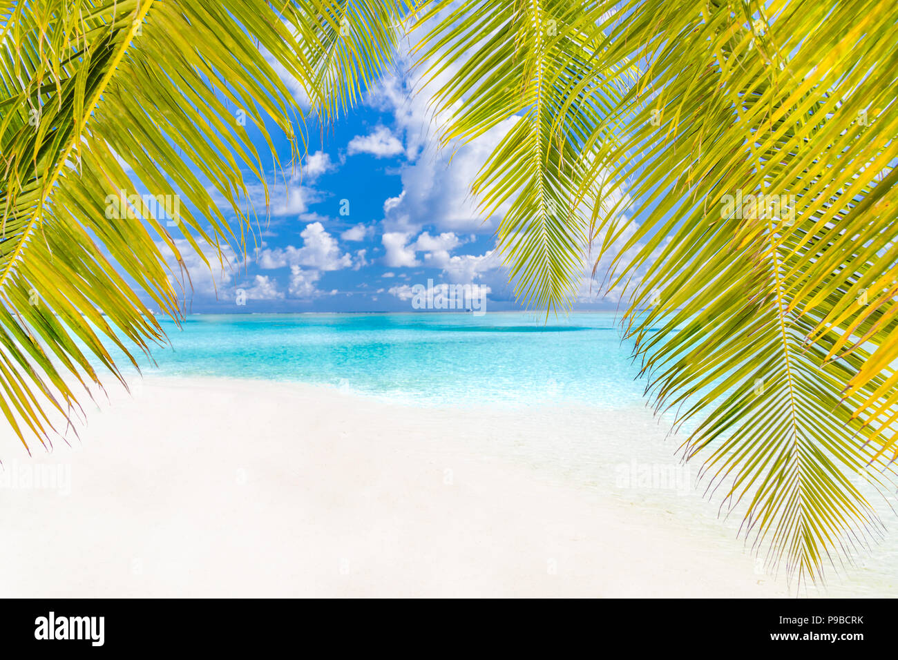 Tranquil beach banner. Palm trees and amazing blue sea view with white sand Stock Photo