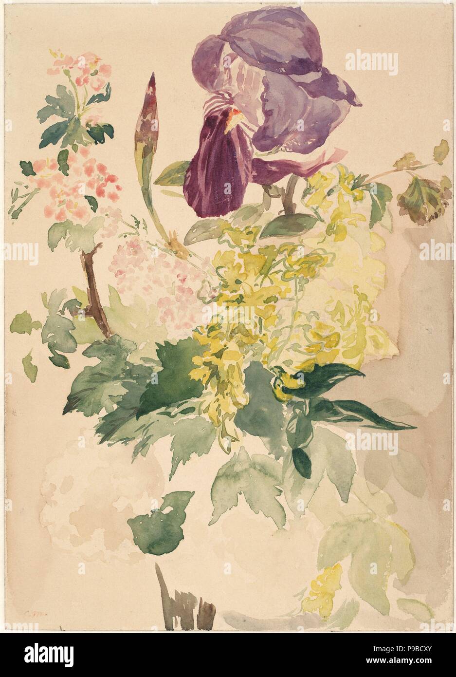 Flower Piece with Iris, Laburnum, and Geranium. Museum: Albertina, Vienna. Stock Photo