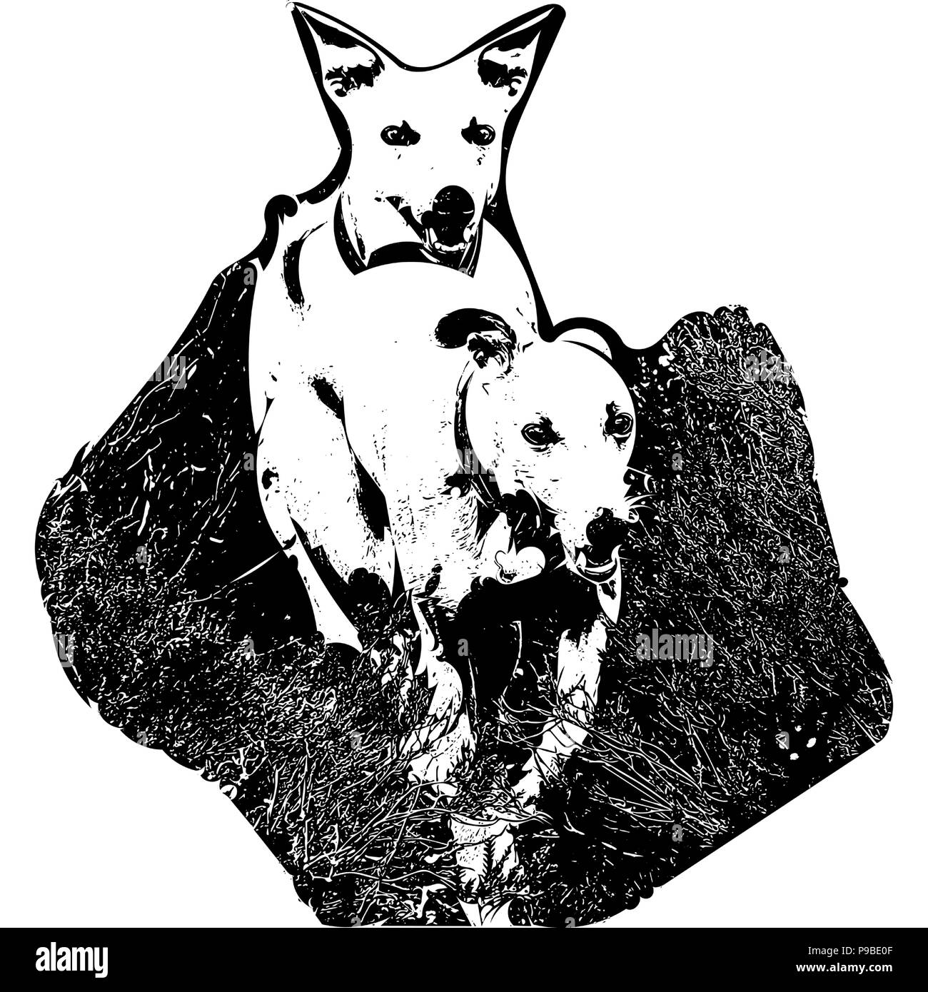 Black and white vector graphic of two Whippets running towards artist. Stock Vector