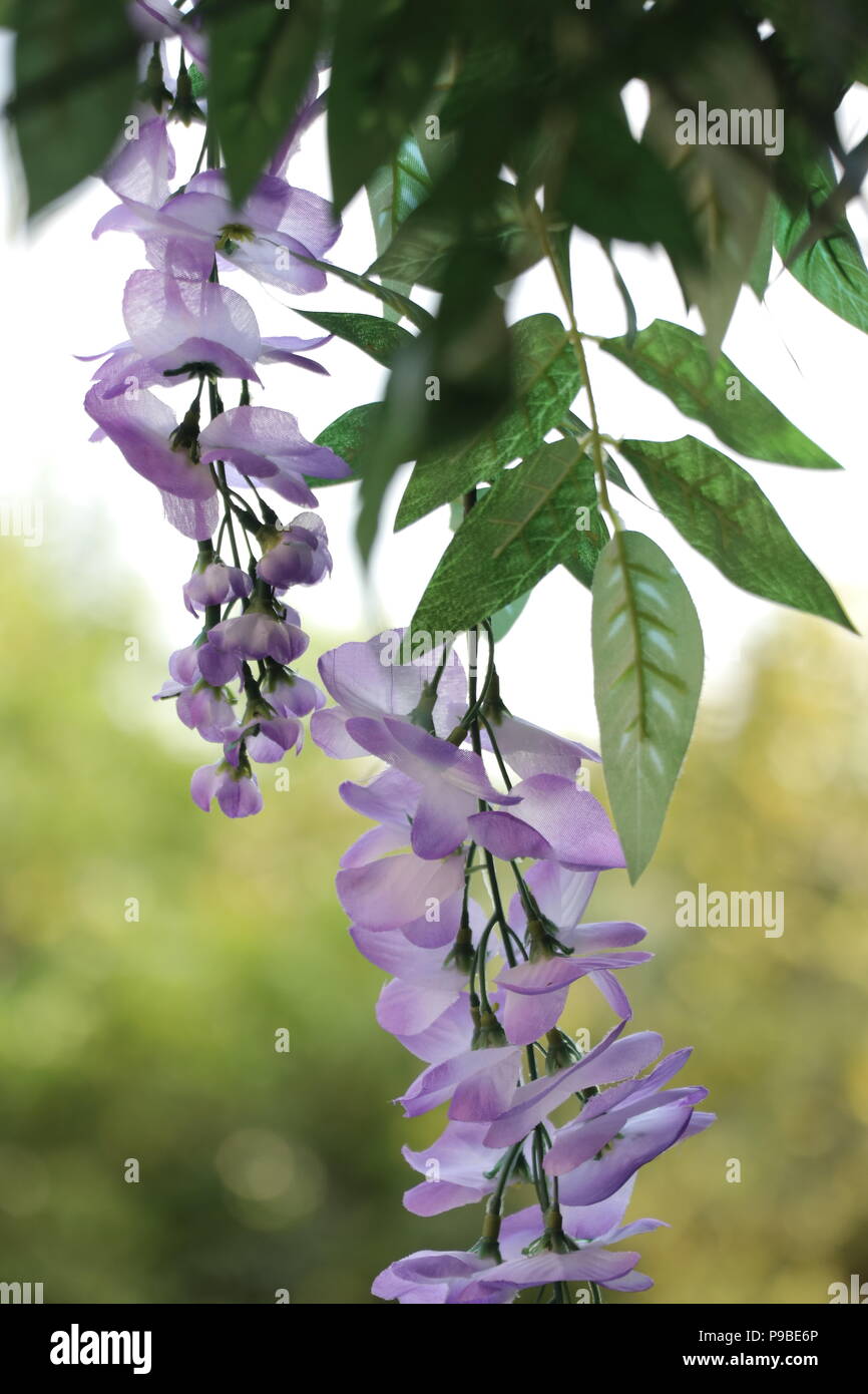Beautiful artificial garden flowers UK Stock Photo Alamy
