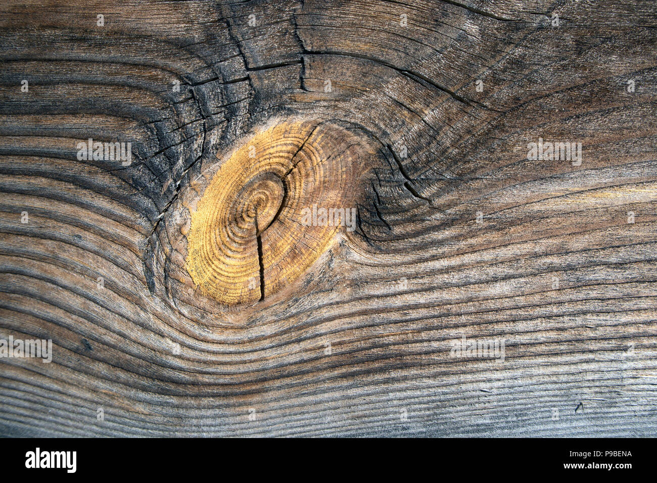 Old wooden planed board surface with big knot and cracks, may be used as background Stock Photo