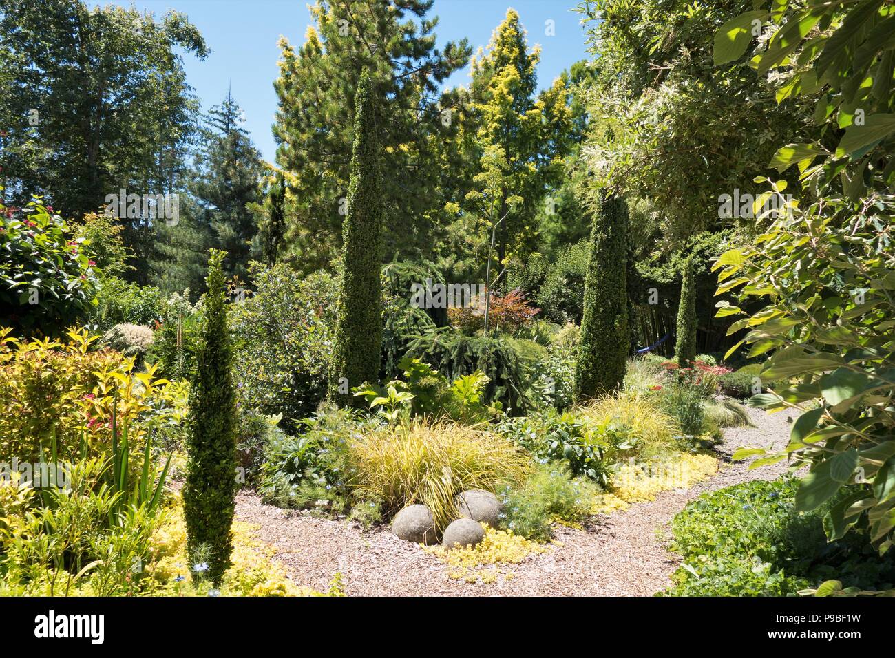 Beautiful plants and shrubs at a private garden in Eugene, Oregon, USA