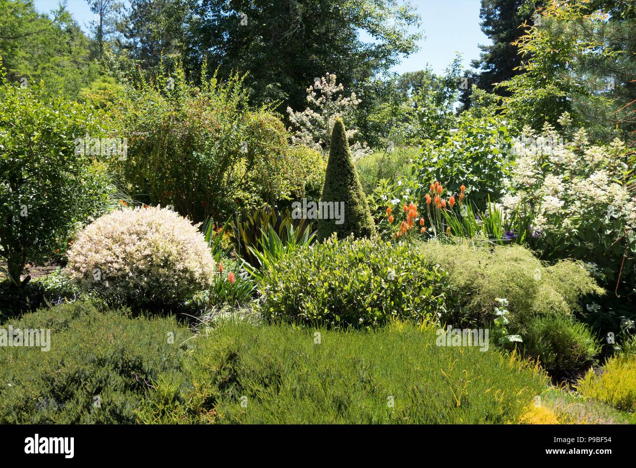 Beautiful plants and shrubs at a private garden in Eugene, Oregon, USA