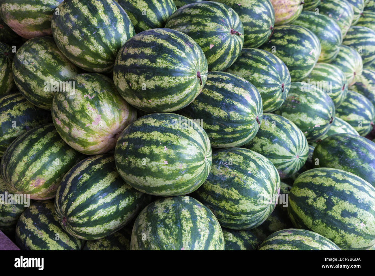 Watermelons on sale hires stock photography and images Alamy