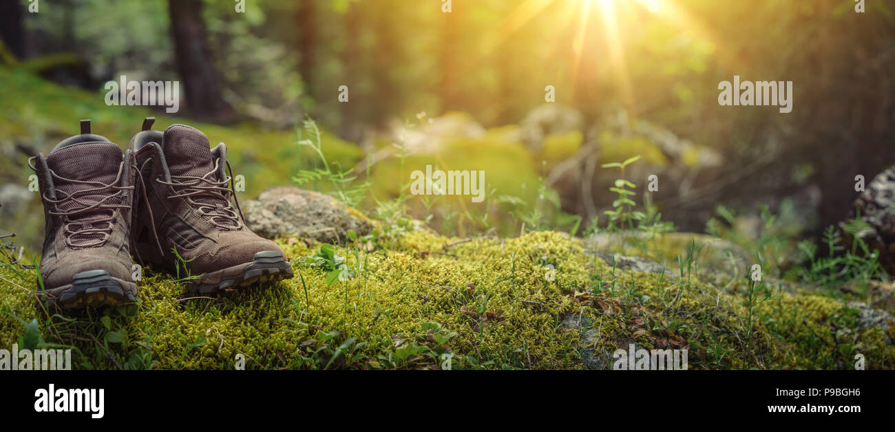 Pair of touristic boots on moss in forest Stock Photo