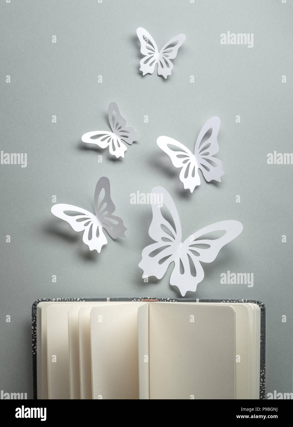 Paper butterflies on open book Stock Photo Alamy