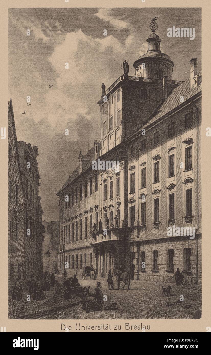 The University of Breslau. Museum PRIVATE COLLECTION Stock Photo Alamy