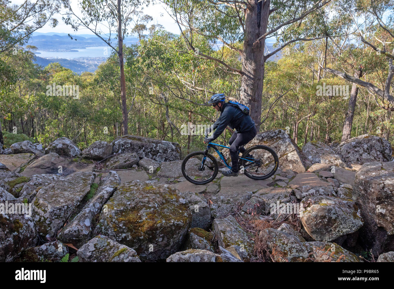 Mountain biking on Hobart's North South Track Stock Photo