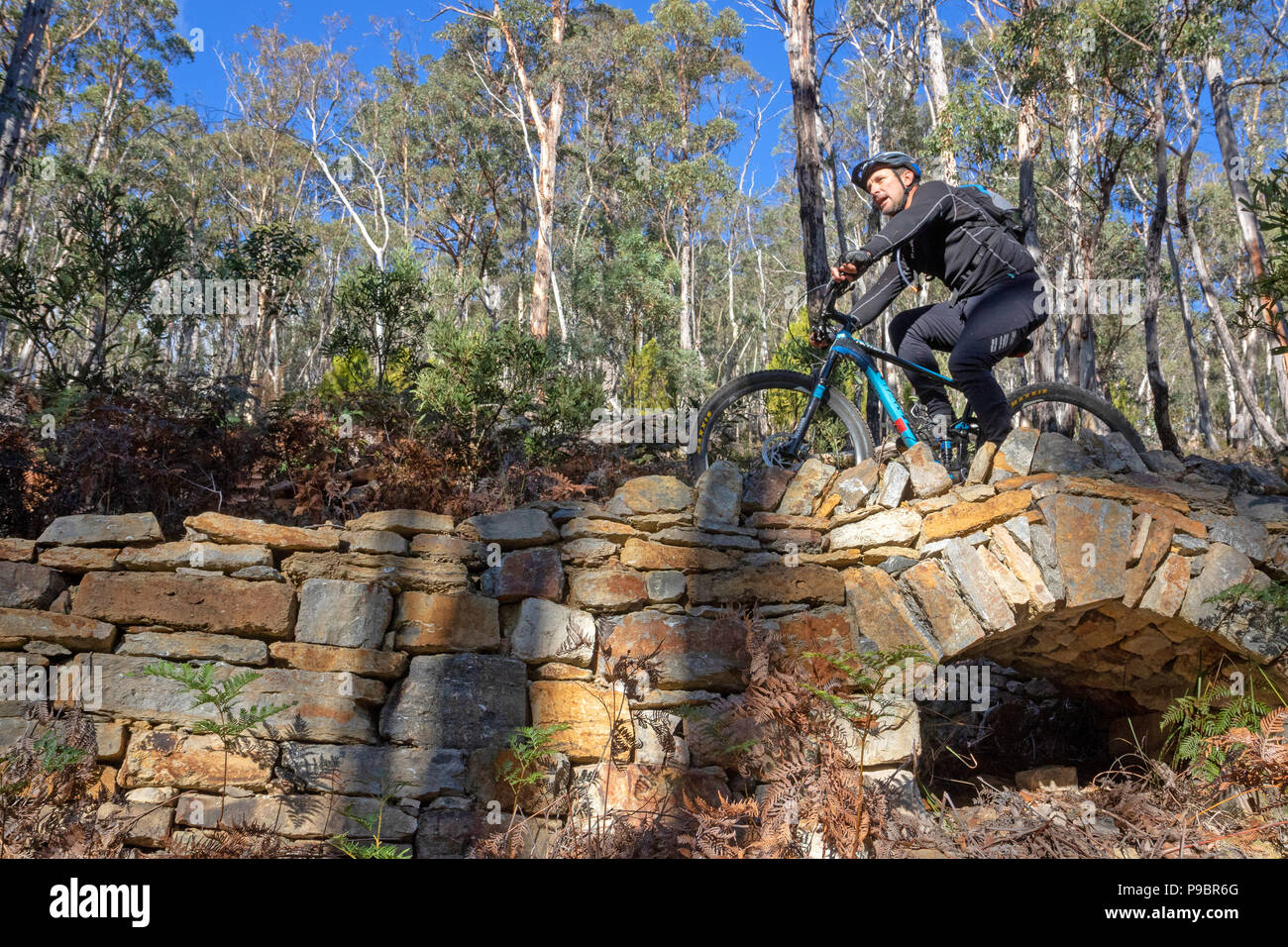 Mountain biking on Hobart's North South Track Stock Photo
