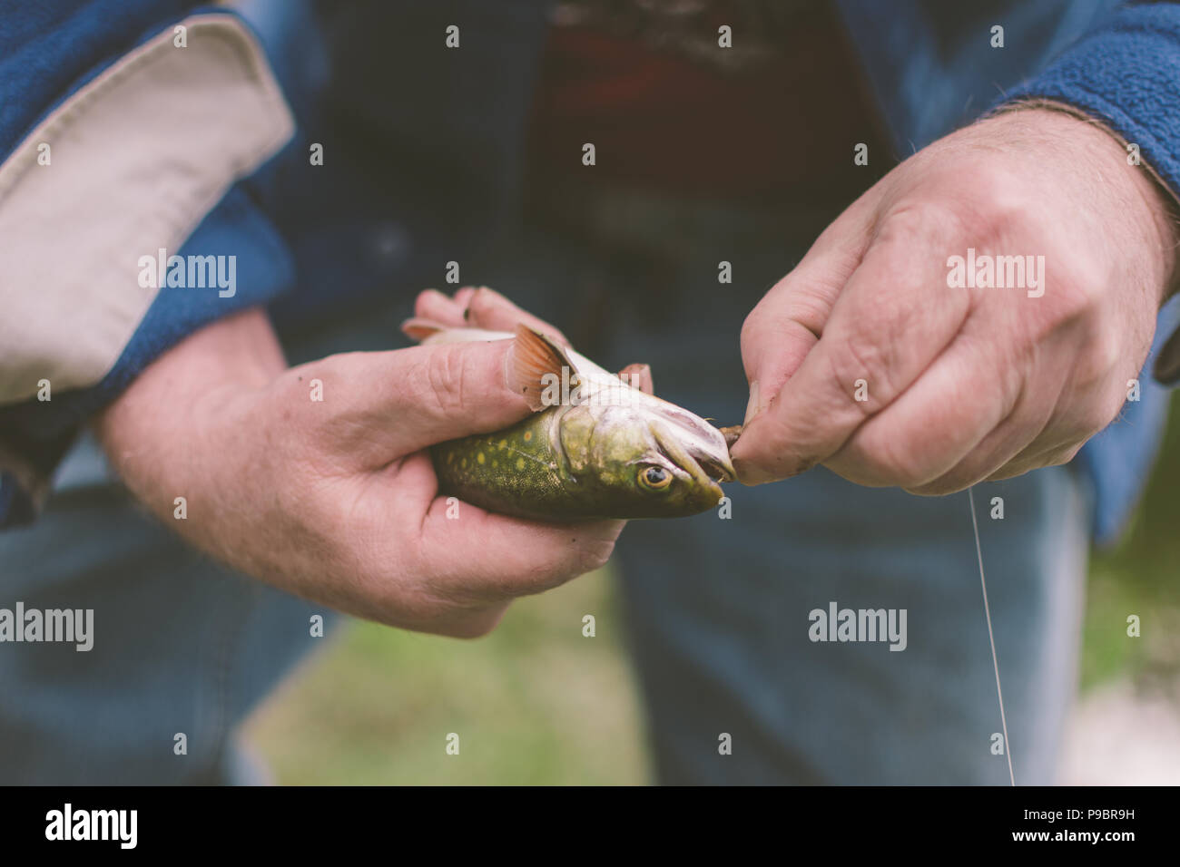 Removing A Hook From A Fish Catch And Release Stock Photo Alamy