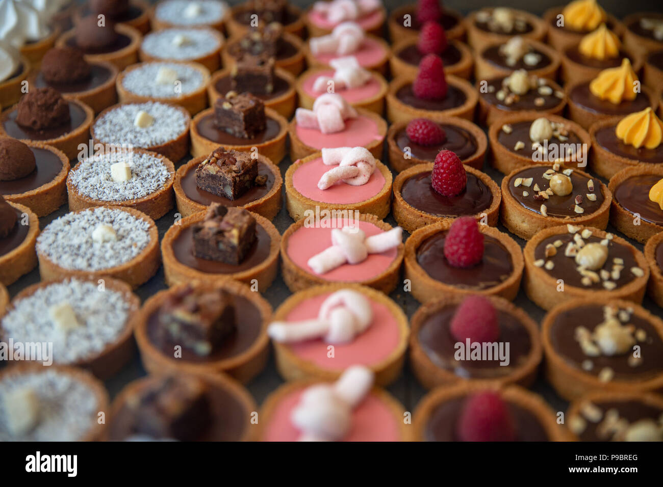 Mini Chocolate Tarts each with a different topping Stock Photo Alamy