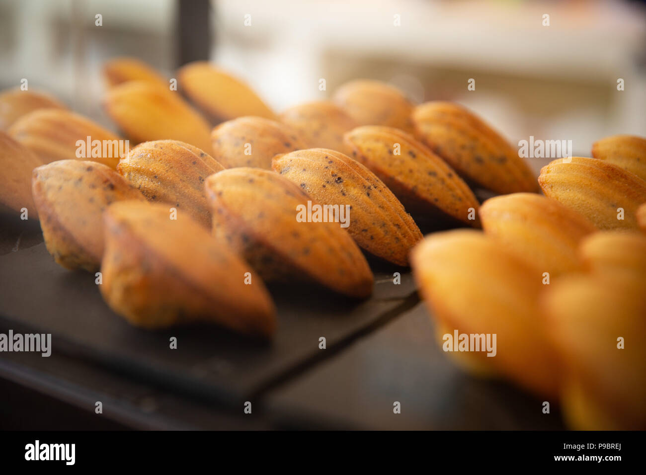 Madeleine oven hires stock photography and images Alamy