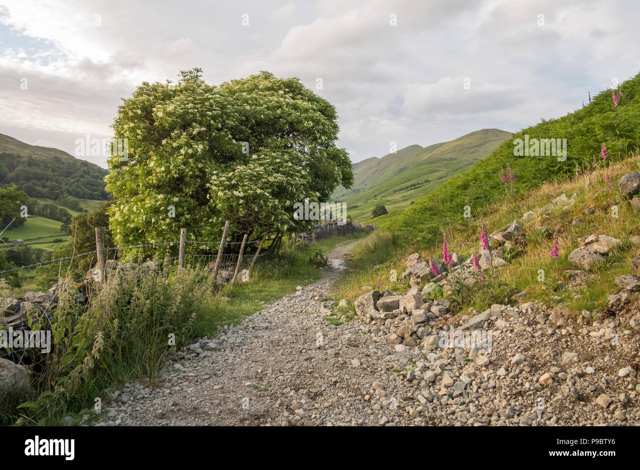 Troutbeck hires stock photography and images Alamy