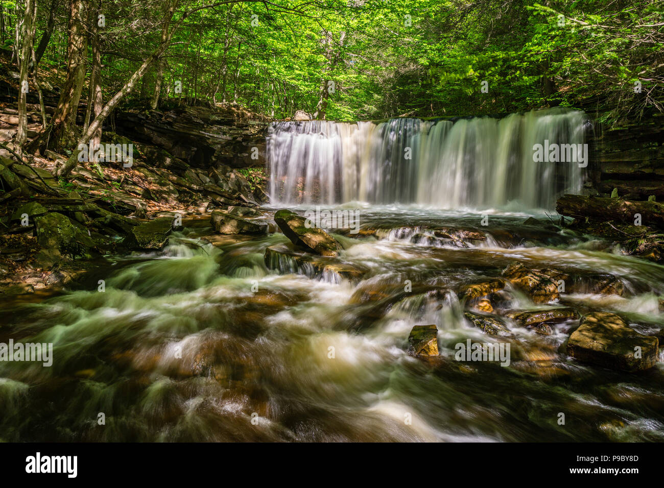 Oneida Falls, Ricketts Glen State Park, Benton, Pennsylvania, USA Stock Photo