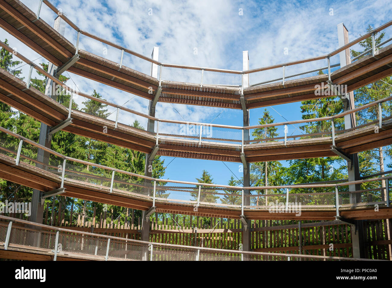 Tree-top walk, Prora, Rügen, Mecklenburg-Vorpommern, Deutschland, Europe Stock Photo