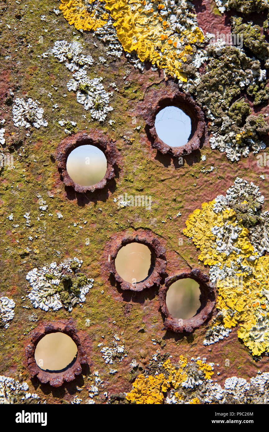 background image of five bullet holes in weathered metal with rust and lichens growing Stock Photo