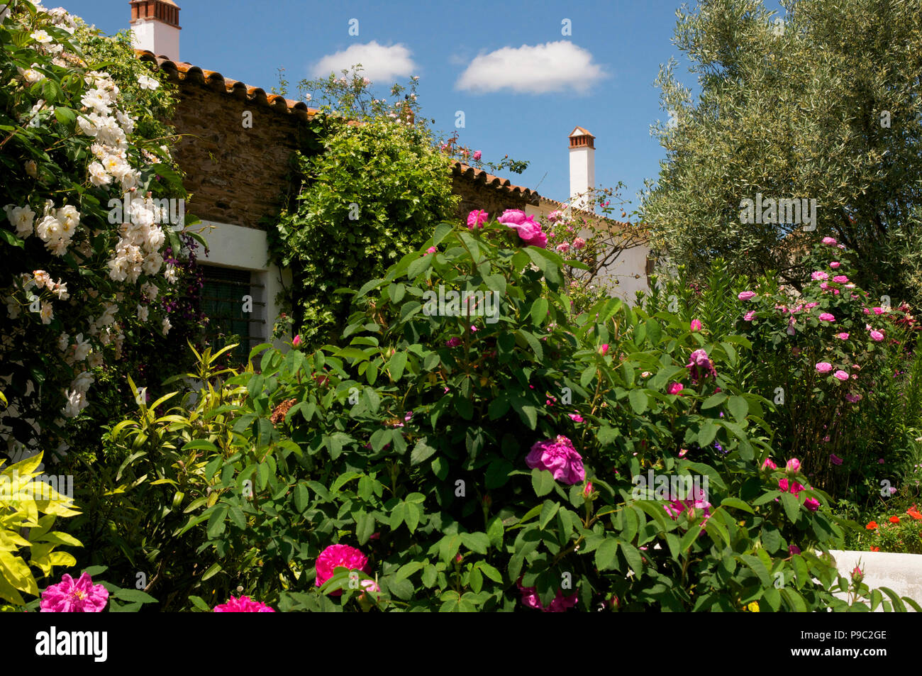 classic Spanish cortijo house with roses Stock Photo