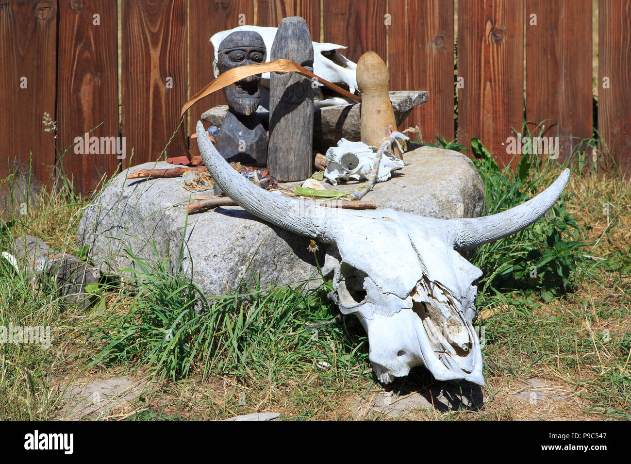 Cow Sacrifice Stock Photos & Cow Sacrifice Stock Images 