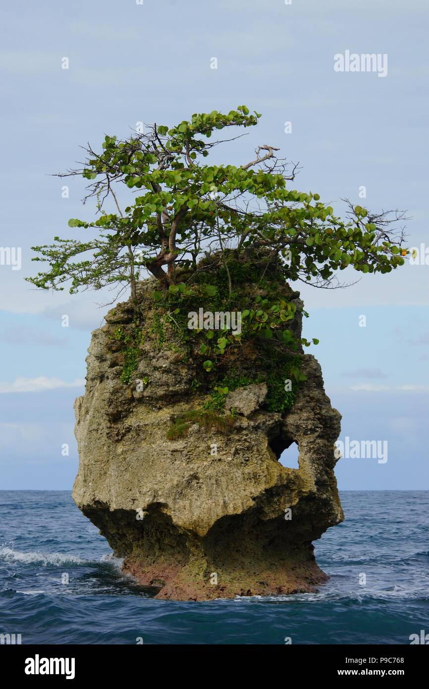 Tiny rocky island with a small tropical tree on top surrounded with ...