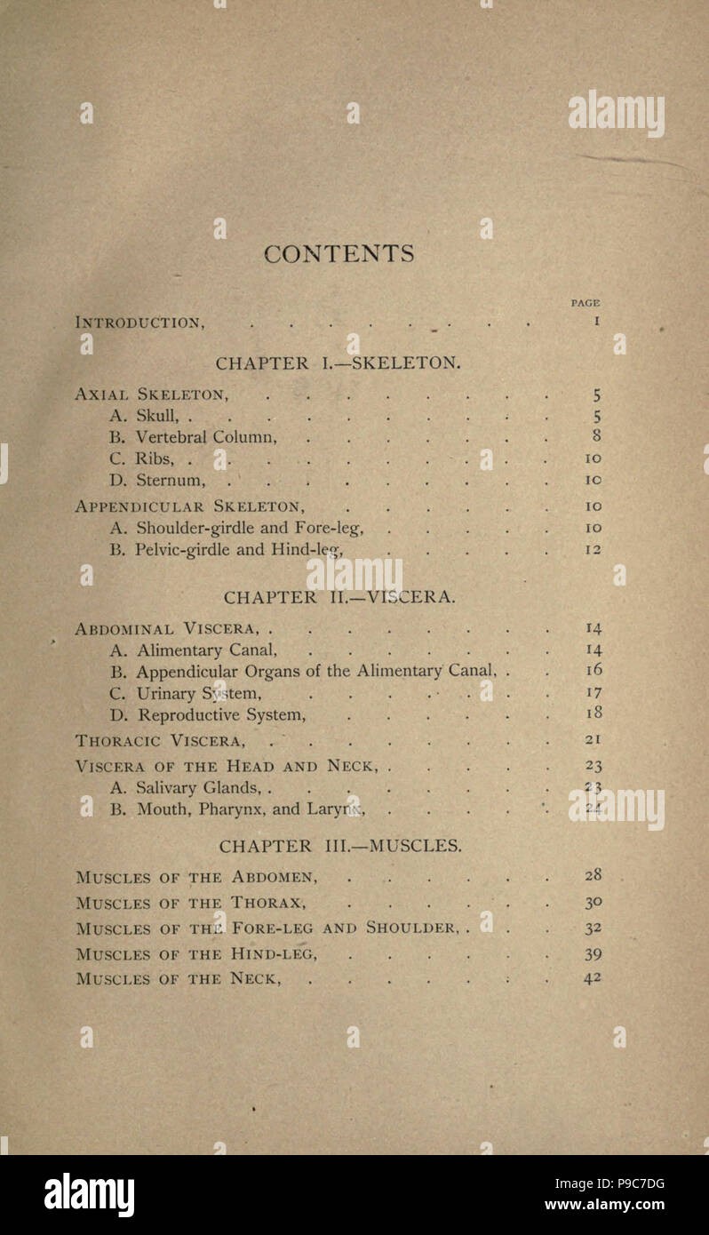 A laboratory guide for the dissection of the cat Stock Photo Alamy