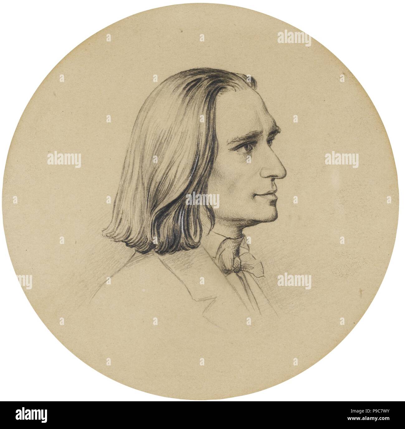 Portrait of the Composer Franz Liszt (1811-1886). Museum: PRIVATE COLLECTION. Stock Photo