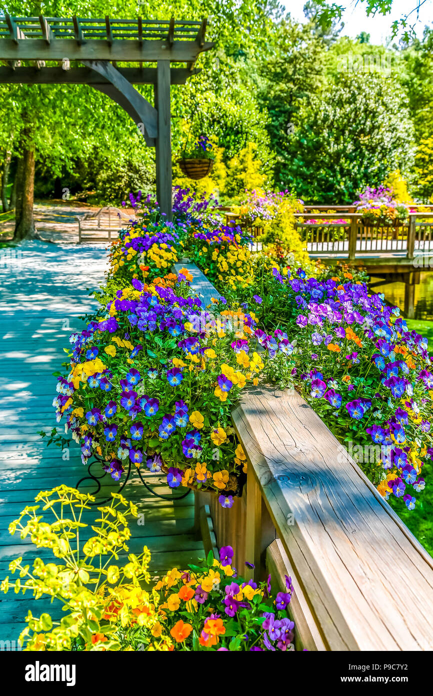 Summer Flowers on Wood Deck Railing Stock Photo Alamy