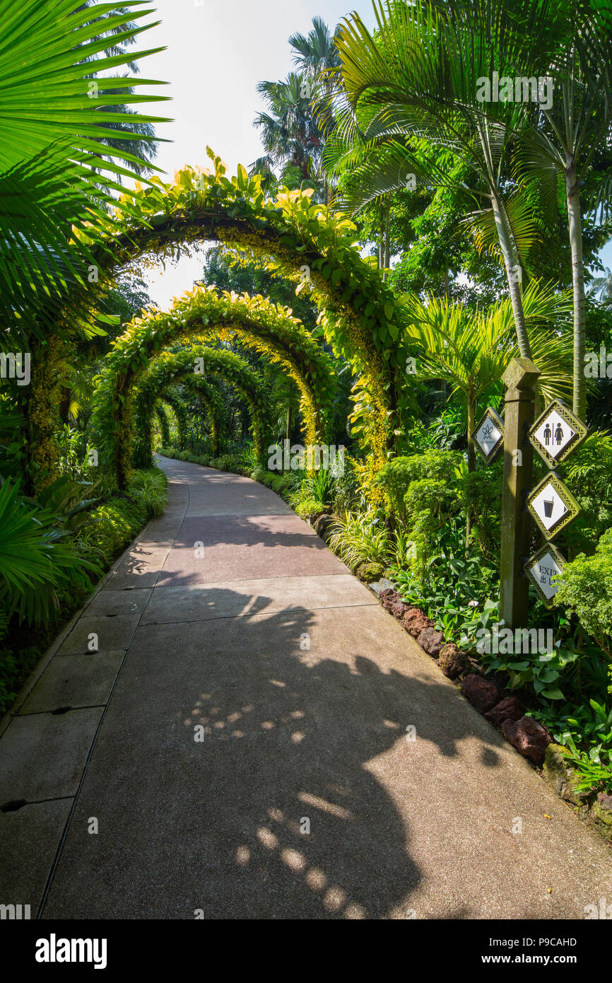 Vertical view of row of green arches at National Orchid Garden. within Singapore Botanic Gardens. Singapore. Stock Photo