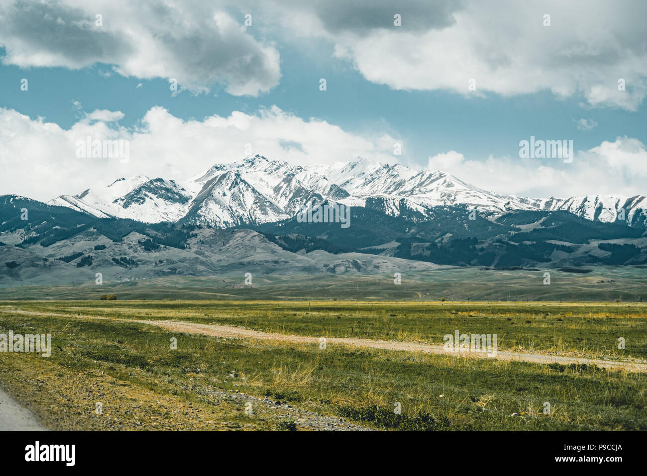 Blue Sky with Tian Shan mountains in background and green steppe,  Kazakhstan Central Asia Stock Photo - Alamy, image size:1300x957